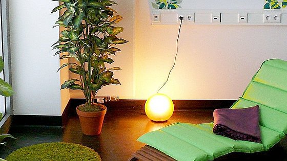 Bild aus dem Snoozleraum mit Blumen und einer Liege